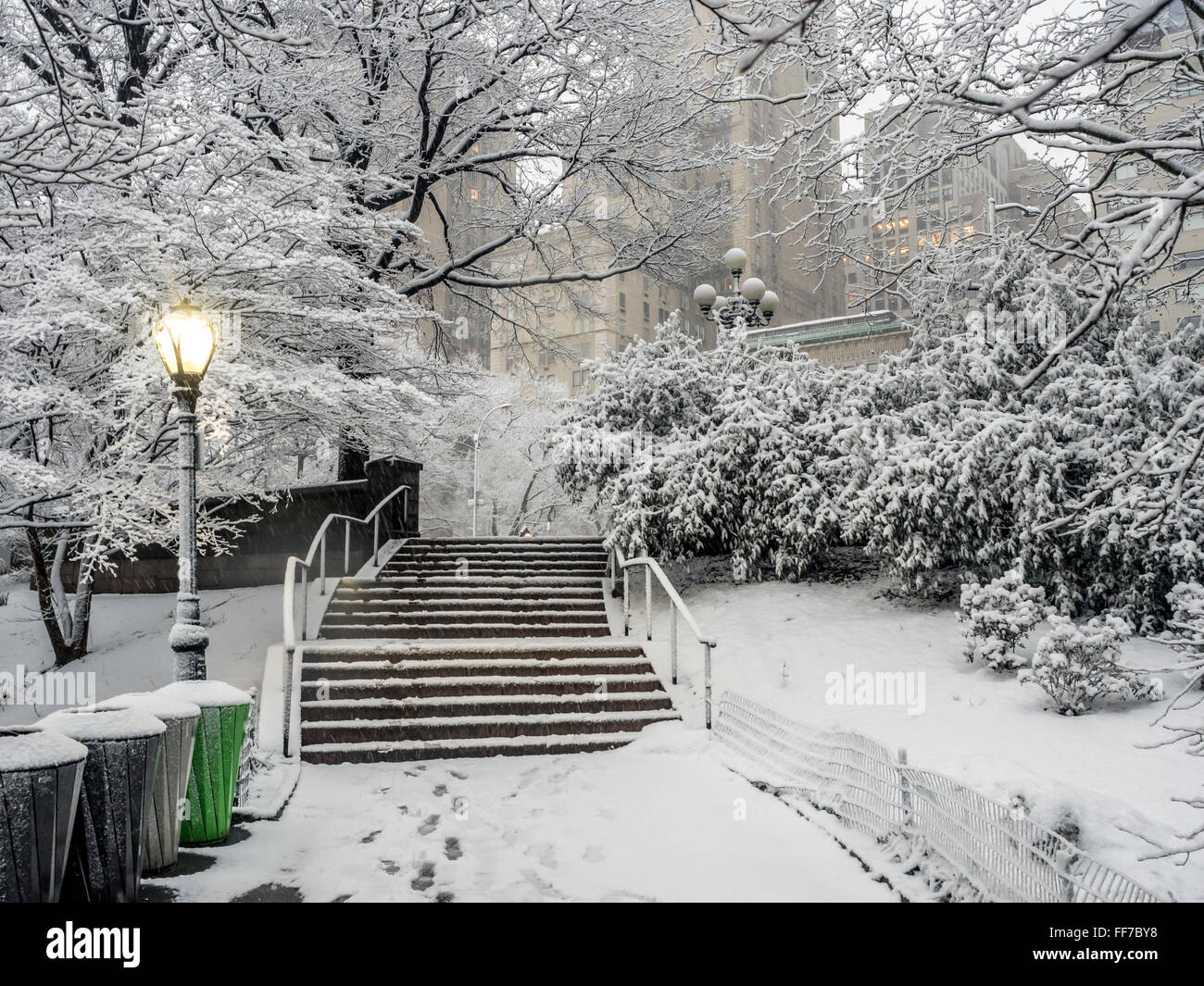 Central Park in New York City, 5. Februar 2016, Schneesturm Stockfoto