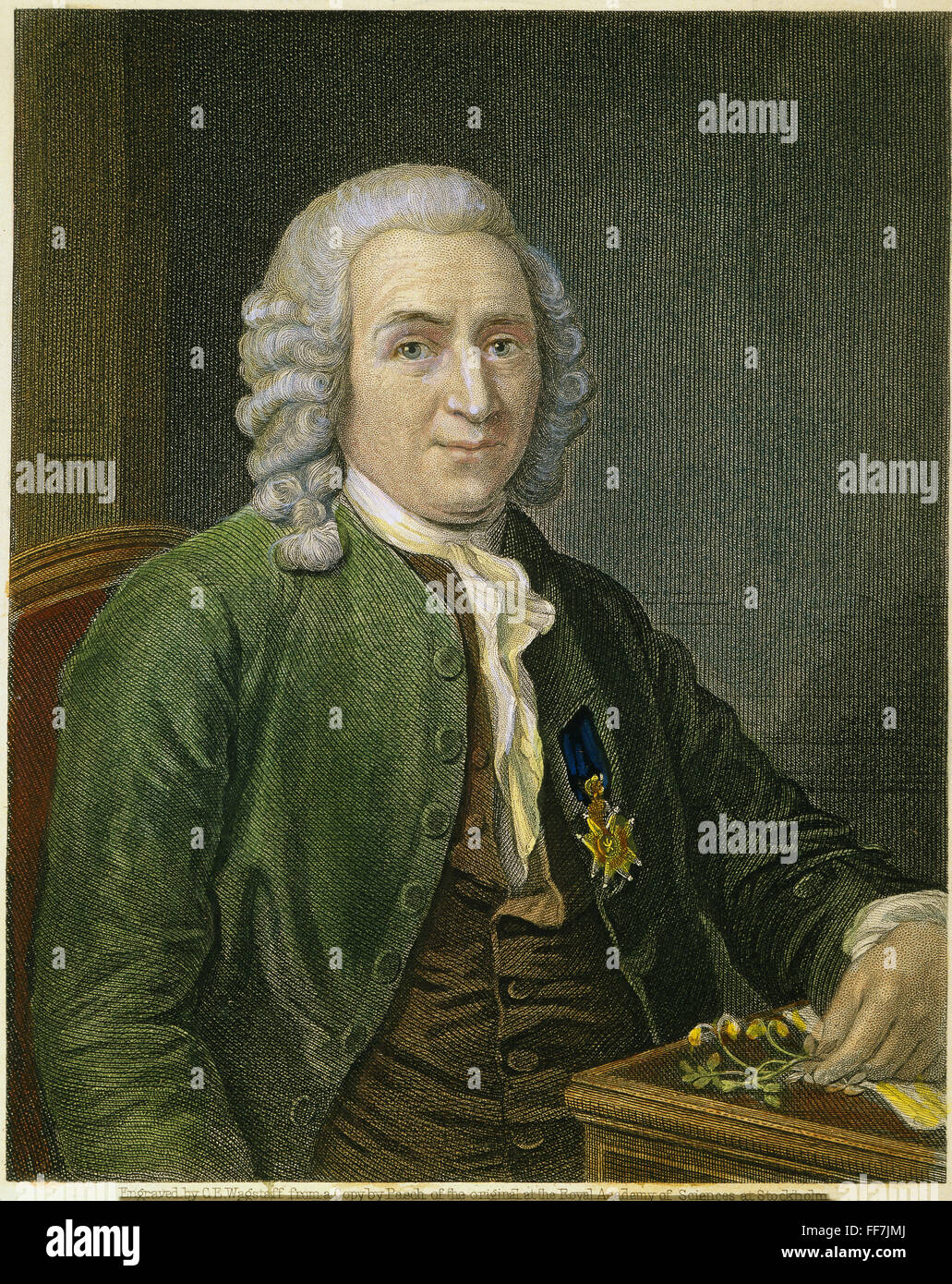 CAROLUS LINNAEUS (1707-1778). /nSwedish Botaniker. Stahl-Gravur, Englisch, 19. Jahrhundert. Stockfoto