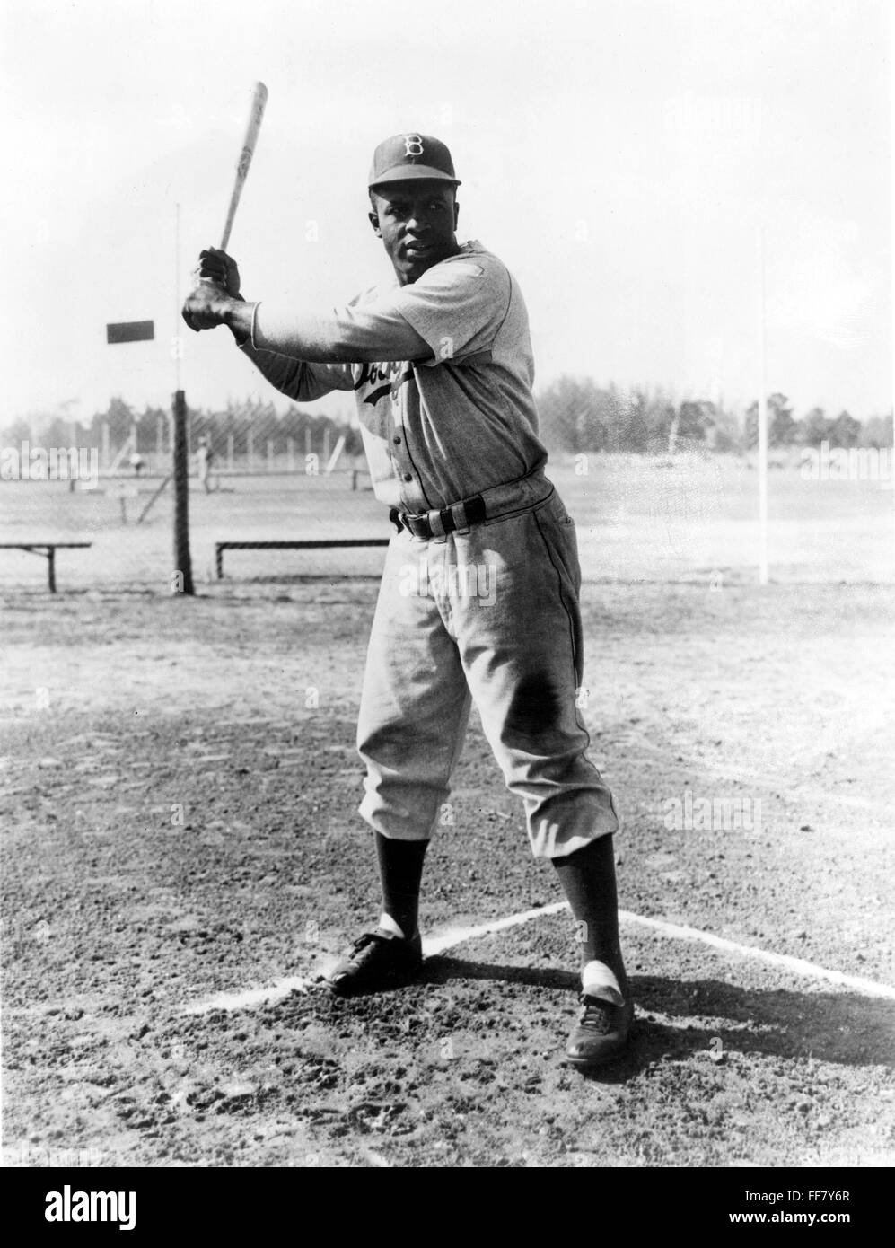 JACKIE ROBINSON (1919-1972). /nJohn Roosevelt Robinson, bekannt als Jackie. US-amerikanischer Baseballspieler. Während ein Mitglied der Brooklyn Dodgers, das Team, für die er von 1947 bis 1956 spielte, fotografiert. Stockfoto