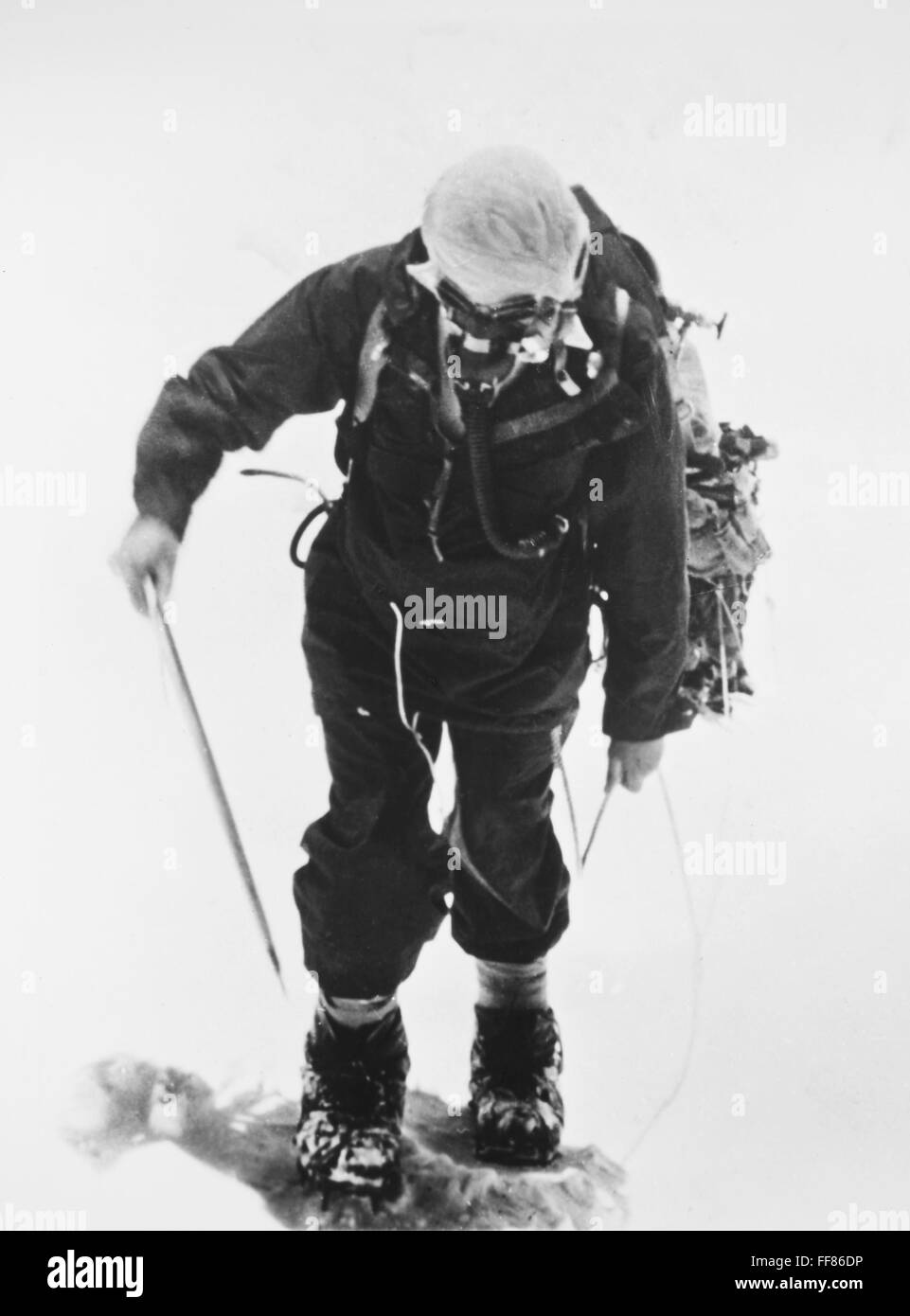 MOUNT EVERESTEXPEDITION. /nThe erfolgreiche 1953 britische Expedition