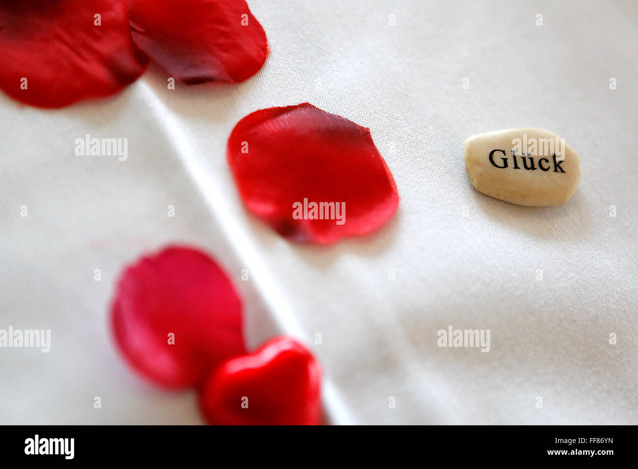Glück, geschrieben auf einem Stein mit roten Rosenblättern Stockfoto