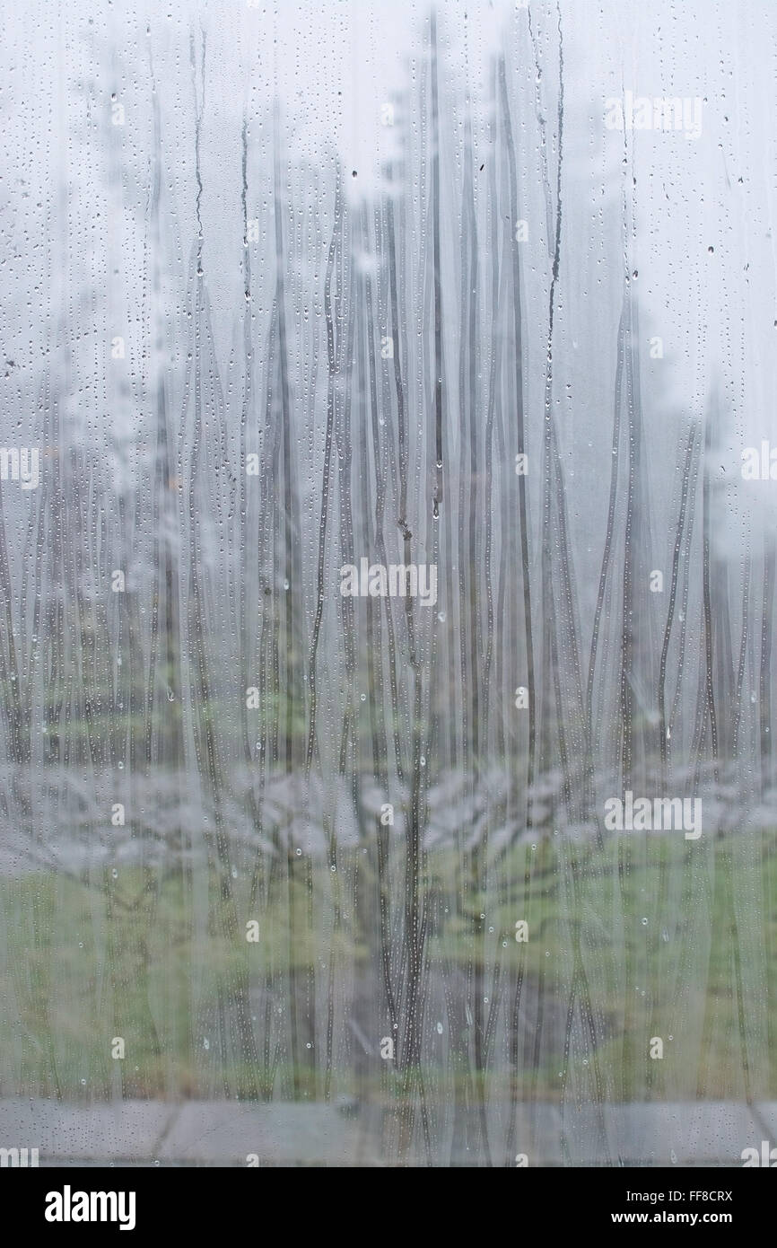 Fenster mit Blick auf unscharfen grauen und grünen Landschaft mit Baum abstrakten Hintergrund Regentropfen-Muster. Stockfoto