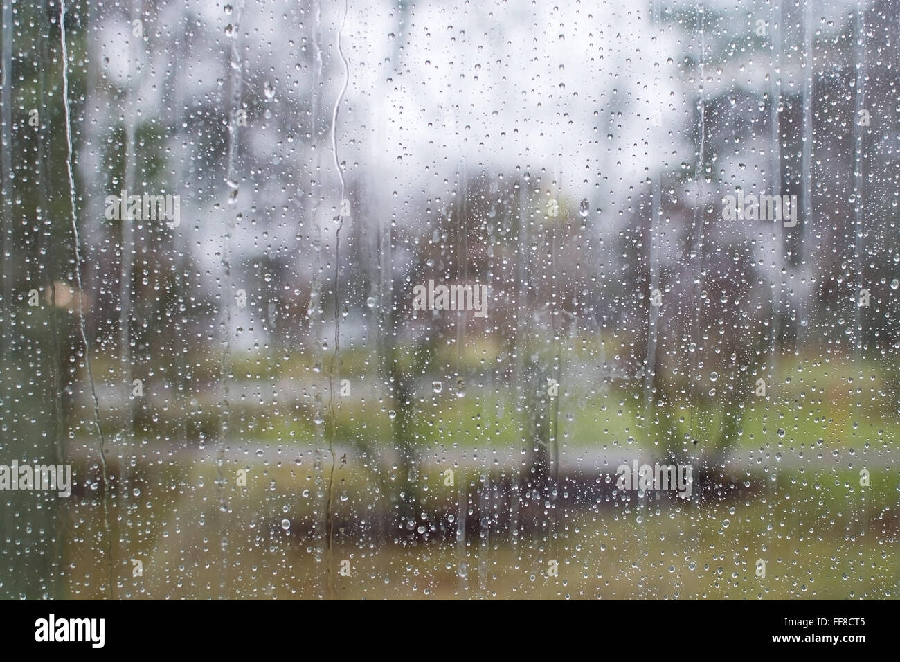 Fenster mit Blick auf unscharfen grauen und grünen Landschaft mit Baum abstrakten Hintergrund Regentropfen-Muster. Stockfoto