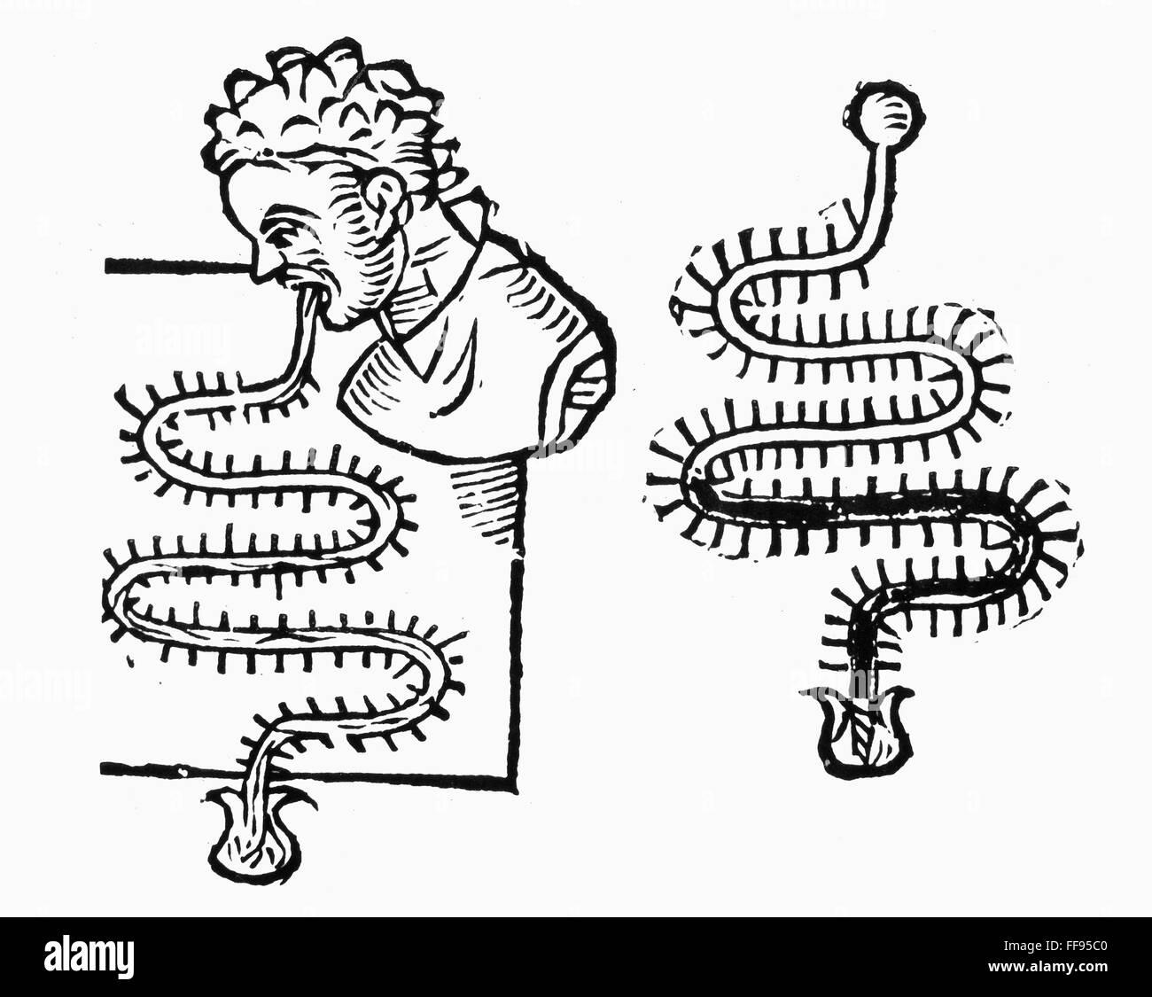 THERMOMETER, 1625. /nTwo Thermometer erfunden von Santorio Sanctorius.  Holzschnitt aus seiner "Commentaria," 1625 Stockfotografie - Alamy