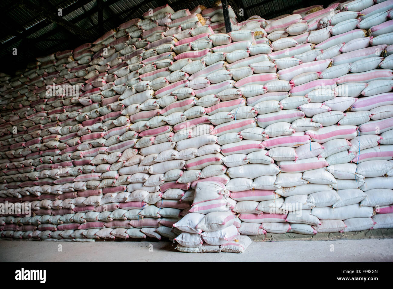 Getreidelagerhaus Reis, Reis-Korn-Lagerung Stockfoto