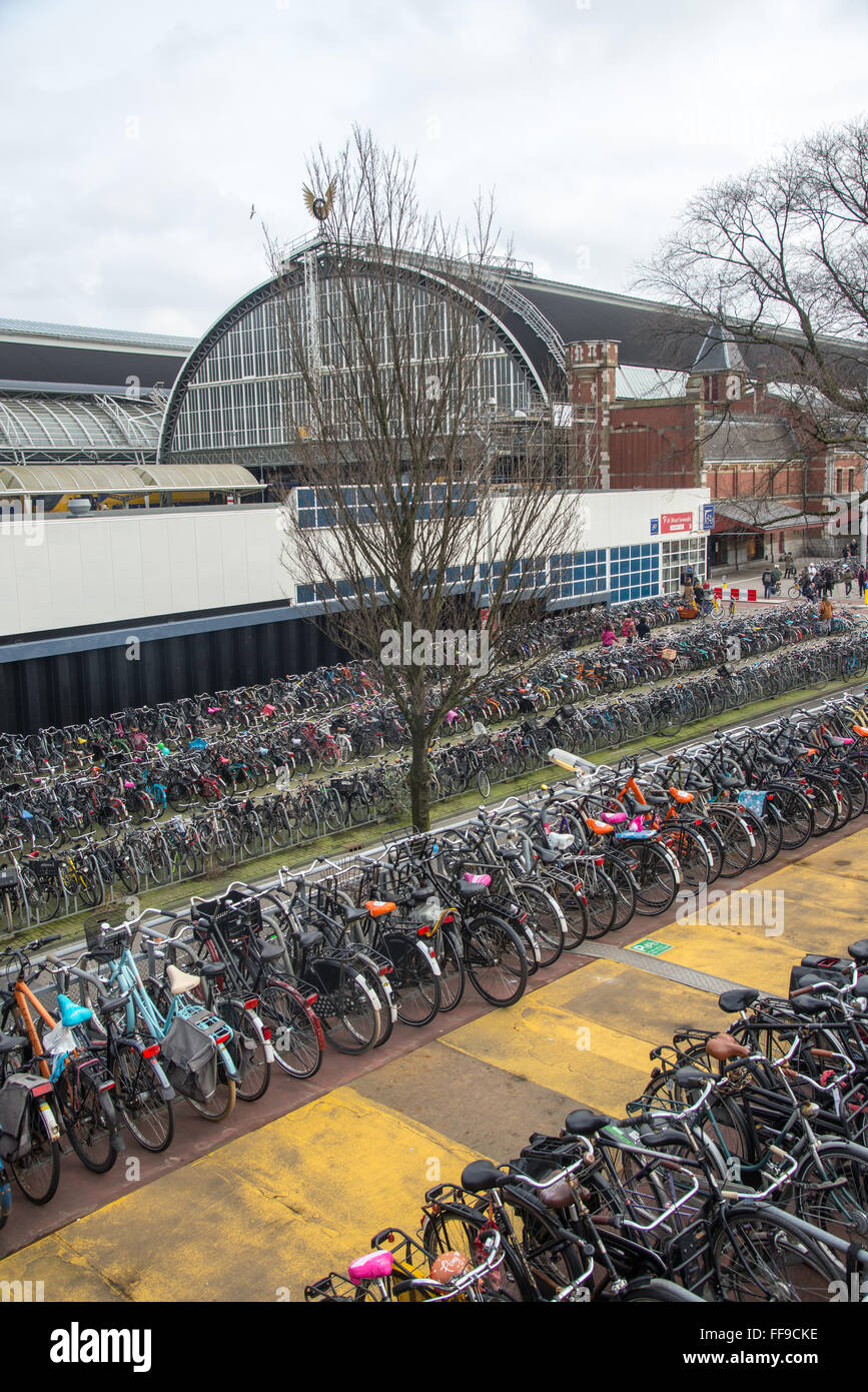 Fahrräder parken am Hauptbahnhof in Amsterdam holland Stockfoto