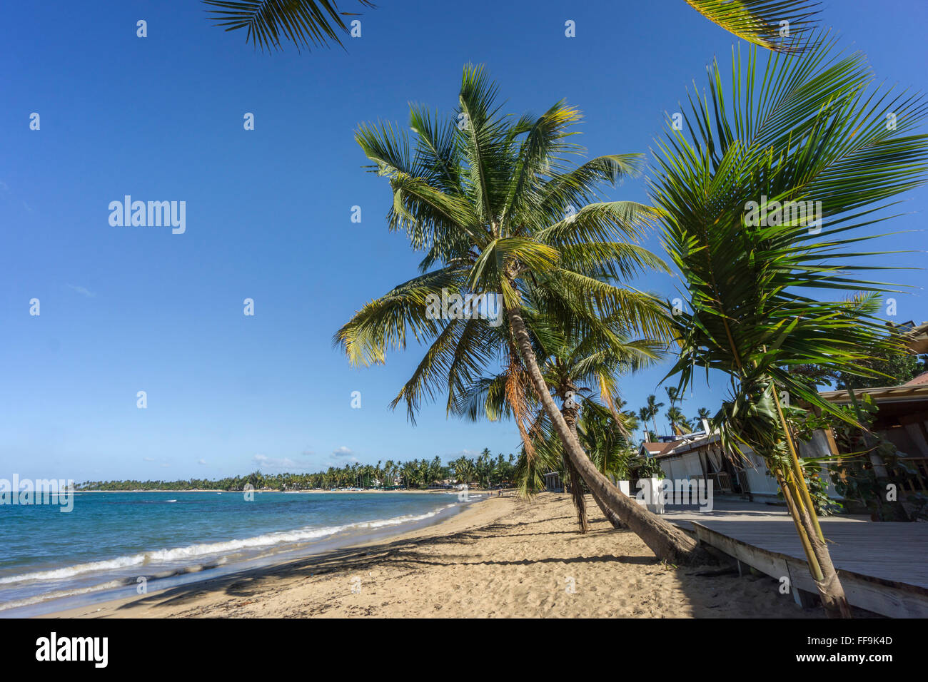 Strand von Las Terrenas, Panorama, Dominikanische Republik Stockfoto