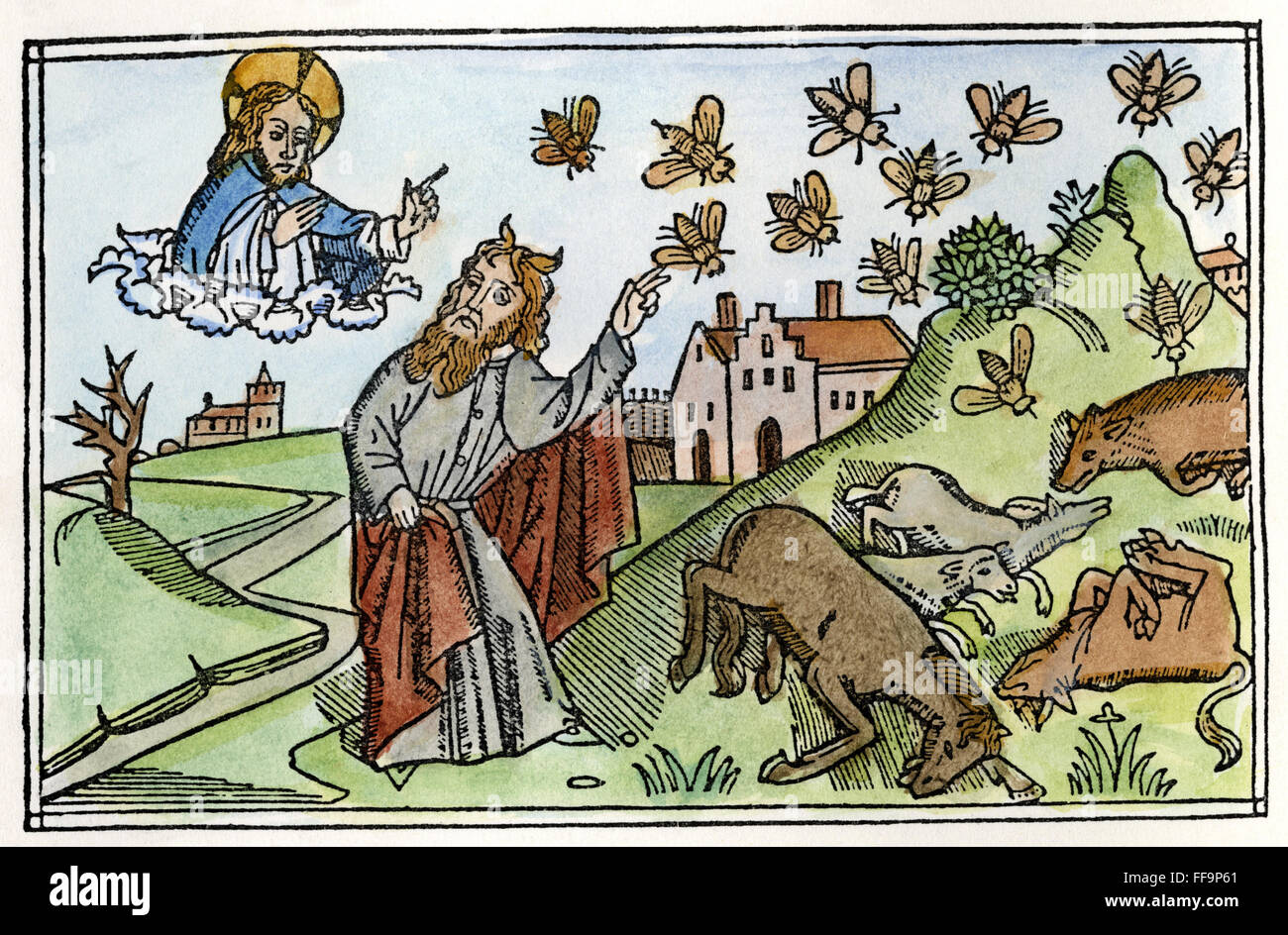 PEST VON FLIEGEN. /nThe Pest of Flies (Exodus 8: 20-24). Holzschnitt aus der Kölner Bibel 1478-80. Stockfoto