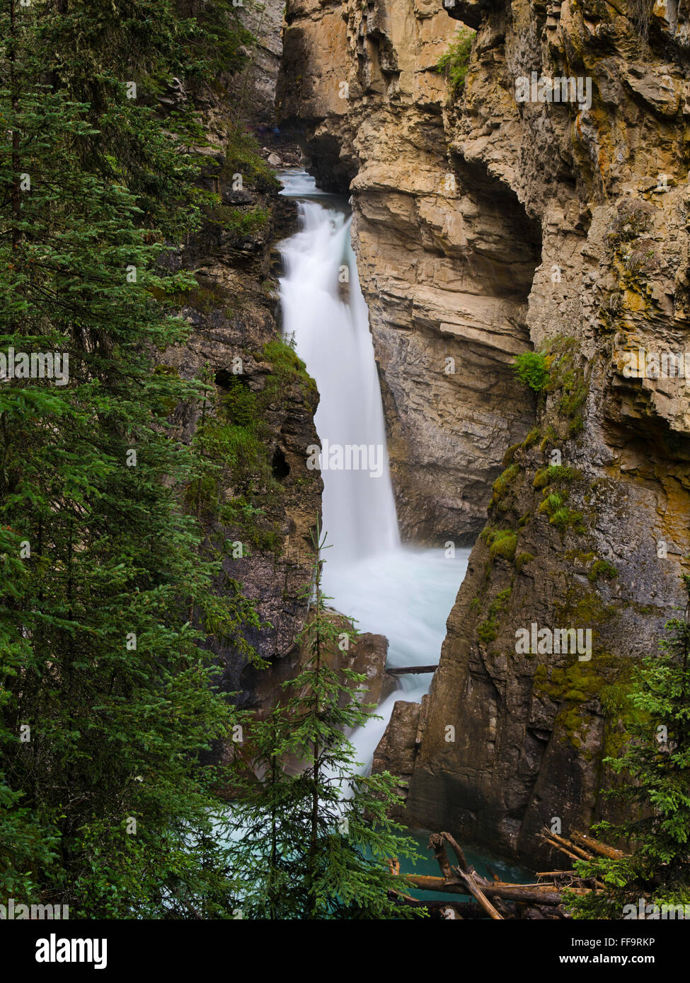 Lower Falls entlang Johnston Creek, Johnston Canyon; Banff Nationalpark, Alberta, Kanada. Stockfoto