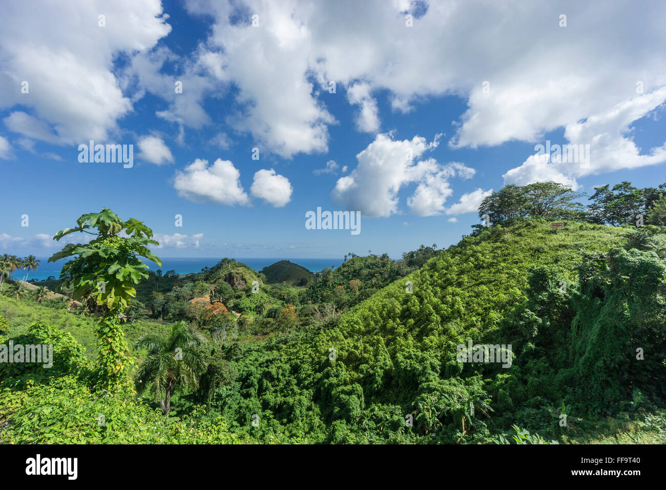 Tropische Landschaft am Aussichtspunkt in der Nähe von Las Terrenas, Samana, Dominikanische Republik Stockfoto