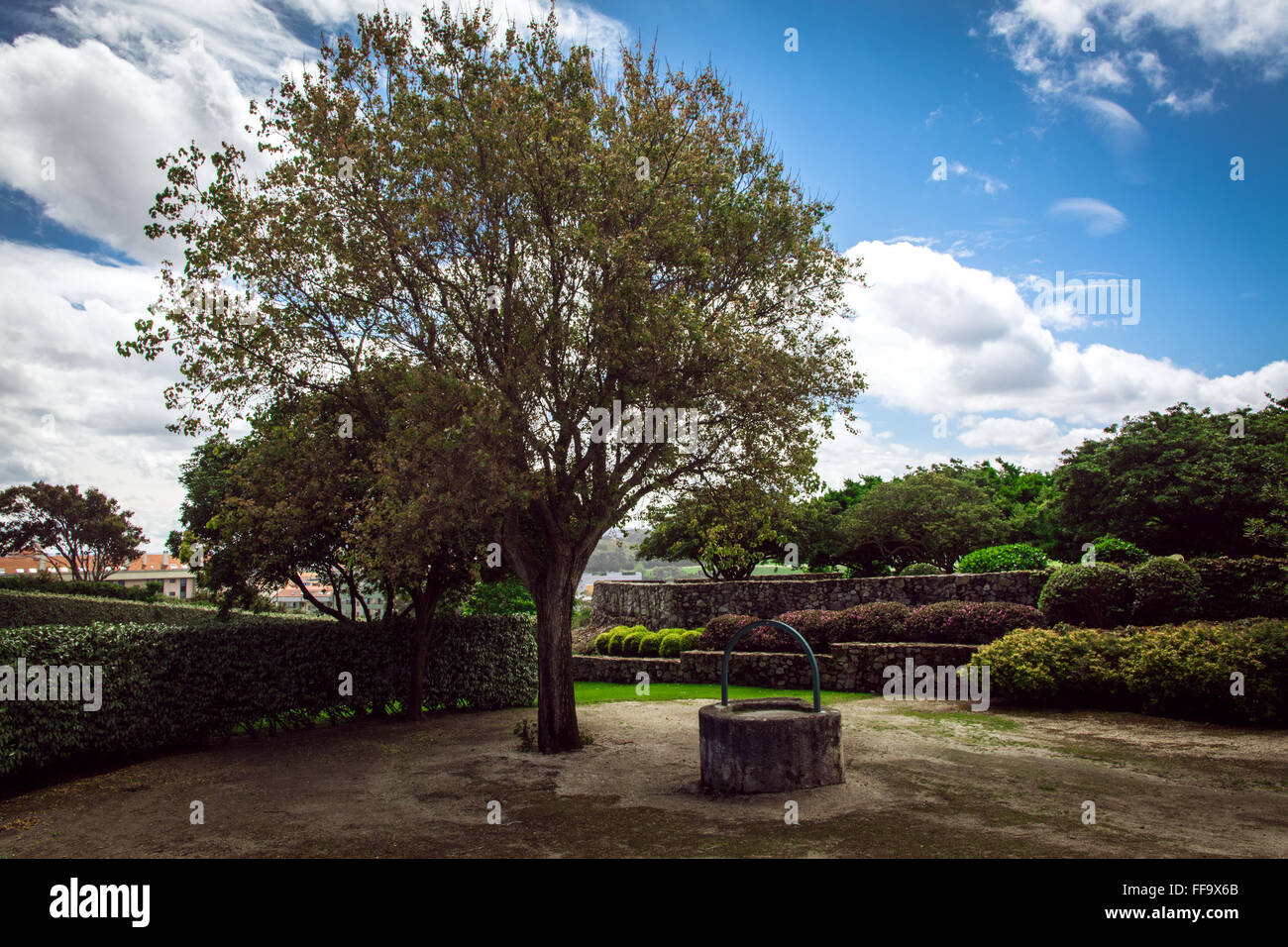 Baum und Brunnen im Park gegen blauen Himmel und Wolken Stockfoto