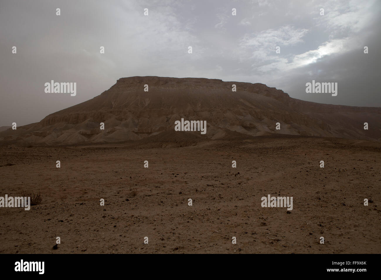 Einem Hügel in der Negev-Wüste auf dem Weg, Ein Akev im Süden Israels im Winter. Bewölktem Wetter vor dem Sturm. Stockfoto