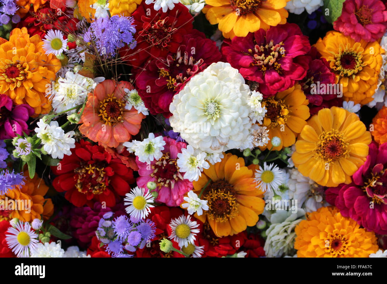 einen großen Blumenstrauß Stockfoto