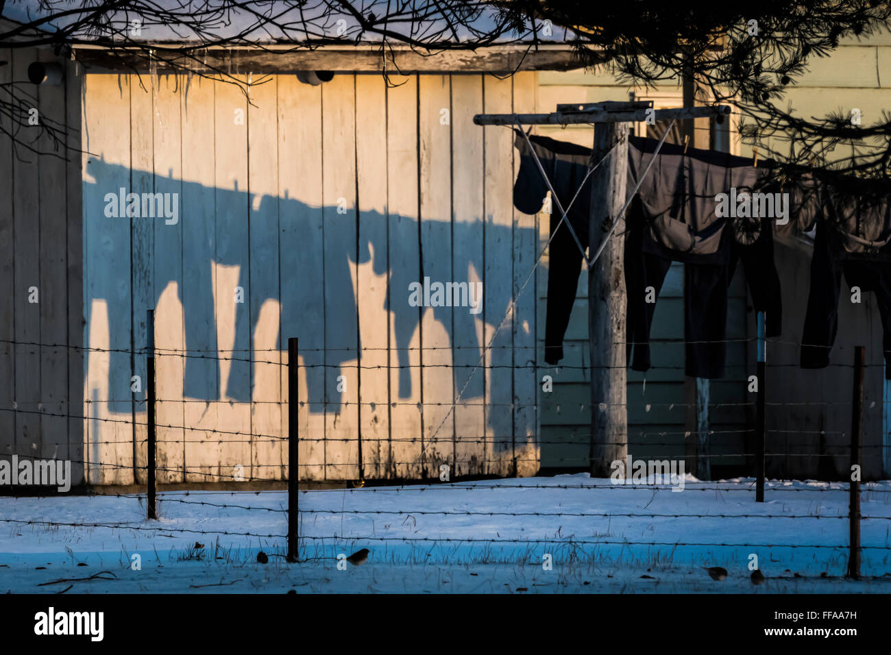 Kleidung trocknen auf eine Linie außerhalb im Winter werfen Schatten auf der Holz eine Amish House, Michigan, USA Stockfoto