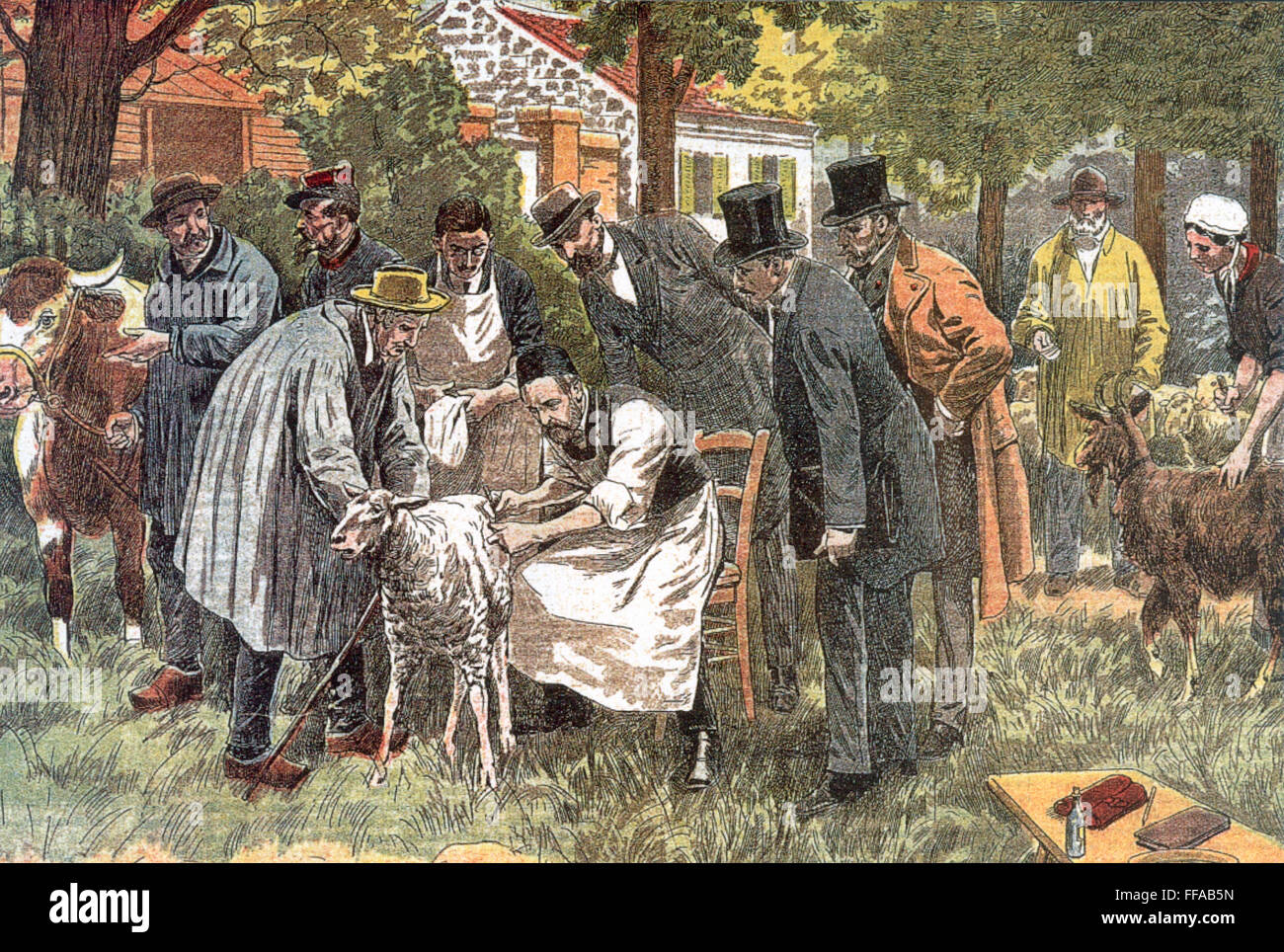 LOUIS PASTEUR (1822-1895). /nFrench Chemiker und Mikrobiologe. Pasteur (Mitte, Helmkraut und Schürze) testen seine Anthrax-Impfstoff auf Schafe bei Pouilly-Le-Fort, Frankreich, im Jahre 1881 durch das Einspritzen sie mit Anthrax, nachdem er zuvor sie gegen geimpft waren Stockfoto