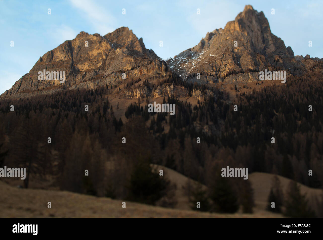 Tilt shift view of a line of pine trees on the slope of a small chain of mountains near Selva di Cadore, Dolomites, Belluno. Stockfoto