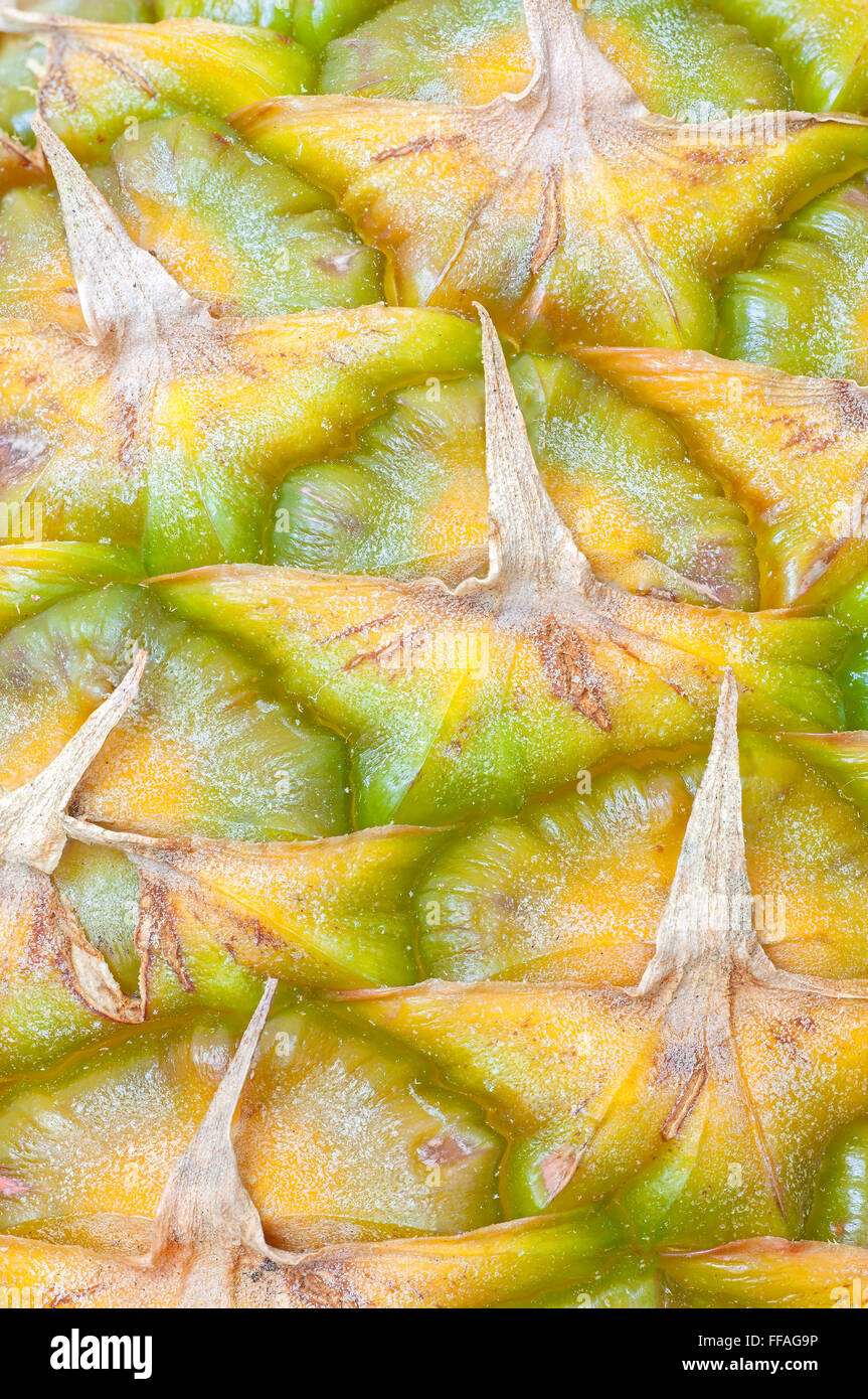 Nahaufnahme Bild der Haut eine frische Ananas. Stockfoto