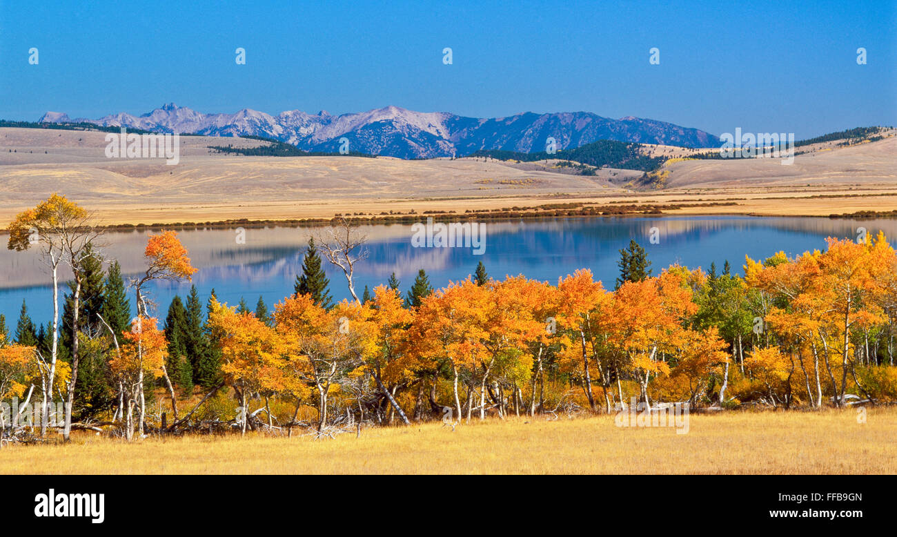 Panorama der Herbstfarben entlang des oberen roten Felsens See und entfernten Gipfeln der madison Range in der Nähe von Lakeview, montana Stockfoto