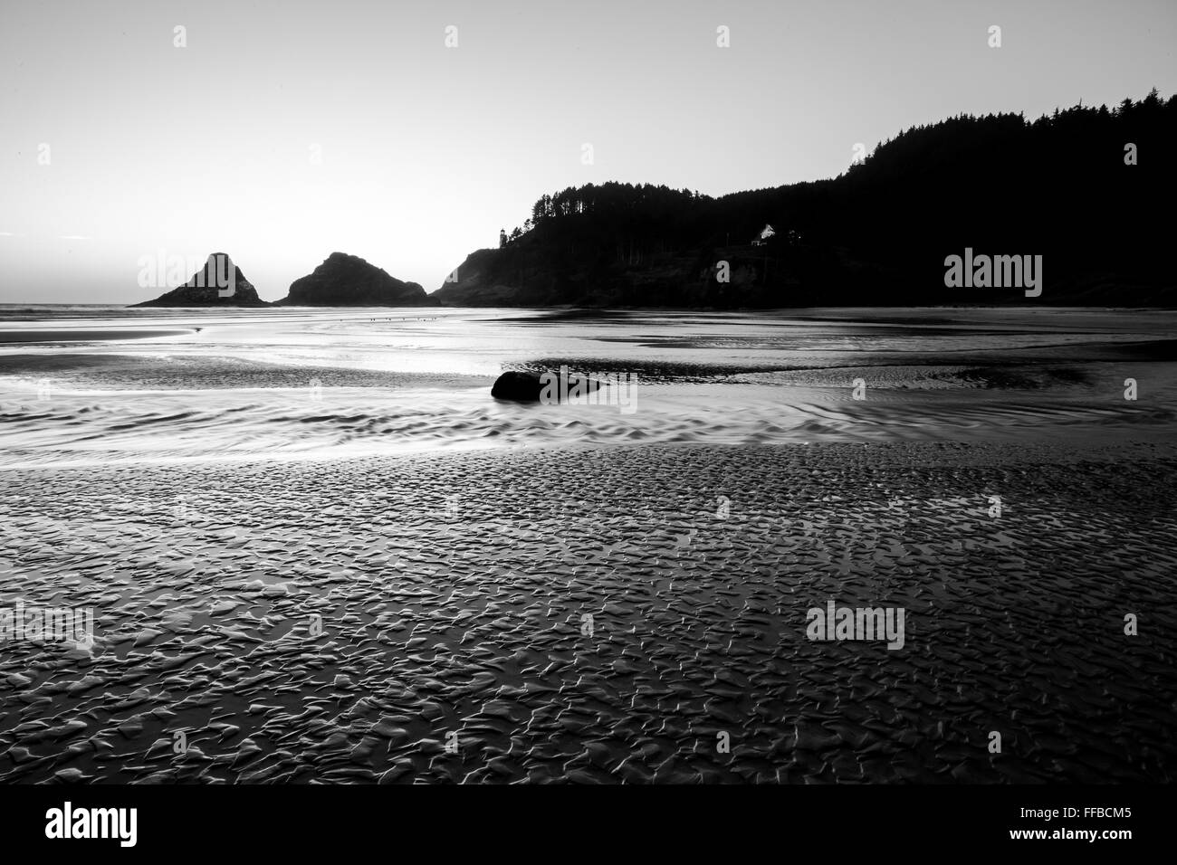 Heceta Head Beach befindet sich an der schönen Küste von Oregon bei Sonnenuntergang auf einer klaren Sommerabend in der Nähe von Dämmerung. Stockfoto