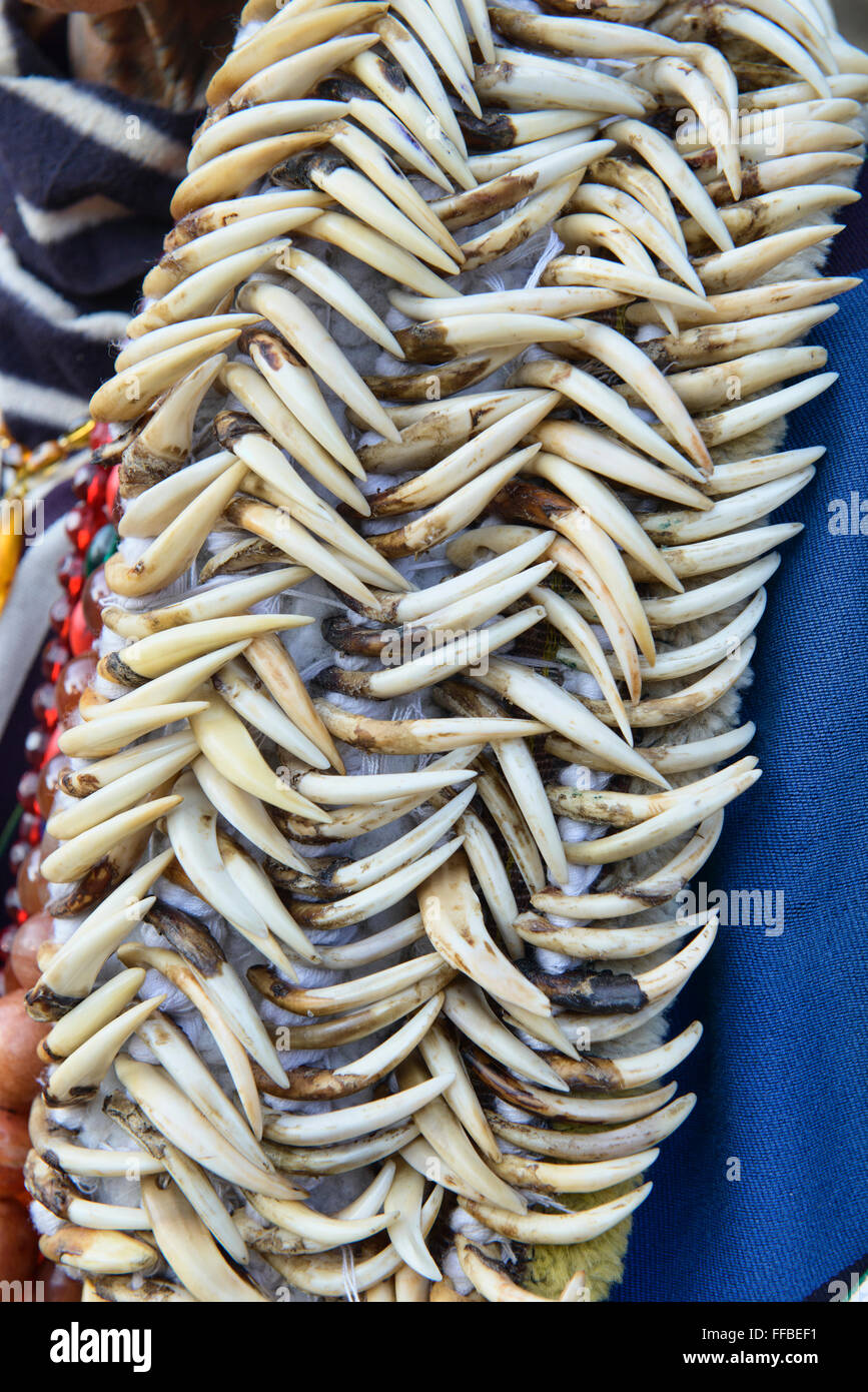 Ein Muun tribal Halskette Reh Zähne, Mindat, Myanmar Stockfoto