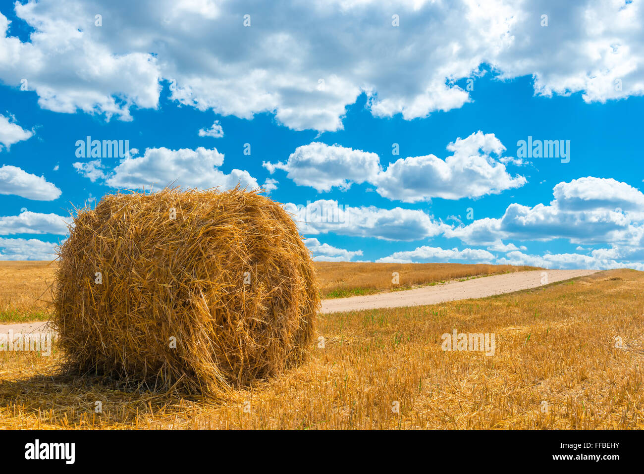 Rick von trockenem Heu auf einem goldenen Feld gemäht, an einem sonnigen Tag Stockfoto