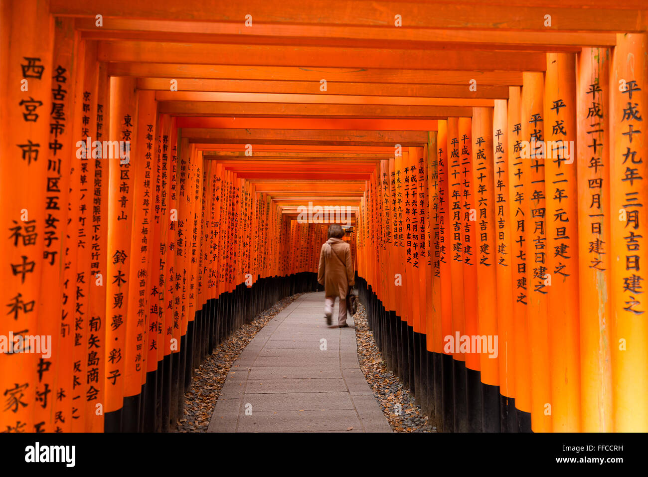 Torii-Tore am Fushimi Inari Schrein, Kyoto, Japan Stockfoto