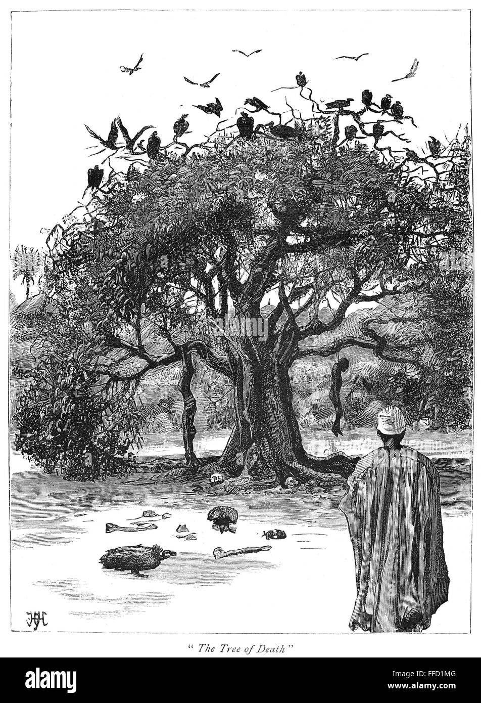 AFRIKA: SKLAVENHANDEL, 1889. /n'The Baum des Todes. " Sklaven von den Bäumen in den ostafrikanischen Sklavenhandel gehängt. Line-Gravur, 1889. Stockfoto