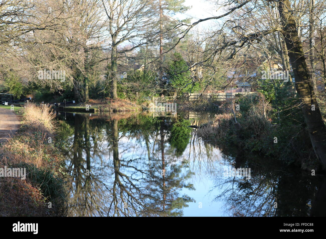 Die Basingstoke Canal in der Nähe von Brookwood, Woking, Surrey. Stockfoto