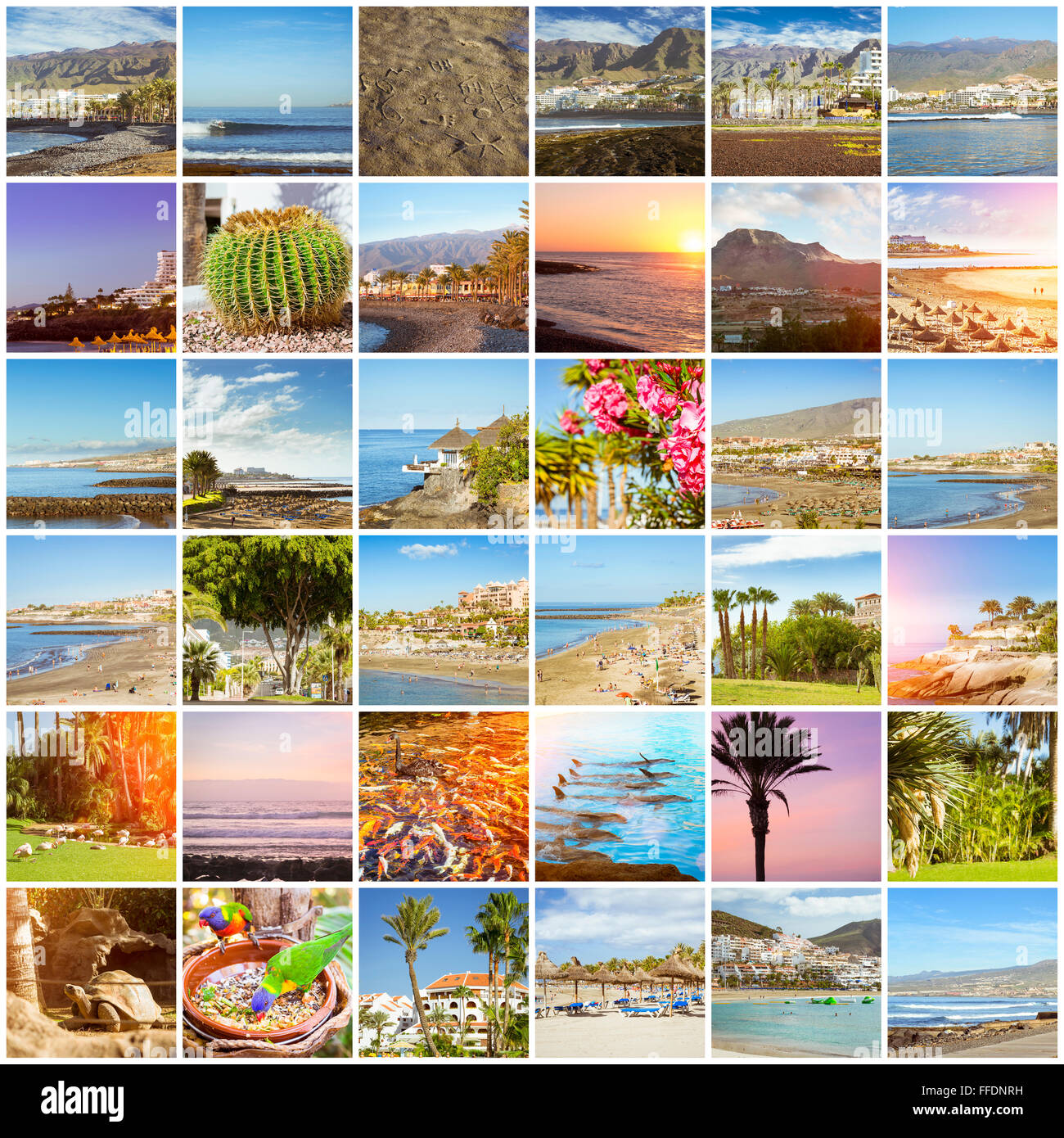 Sonnige Sommer Strandurlaub. Collage mit beliebten Arten von Teneriffa, Kanarische Inseln, Spanien. Sandstrand mit Sonnenschirm Stockfoto