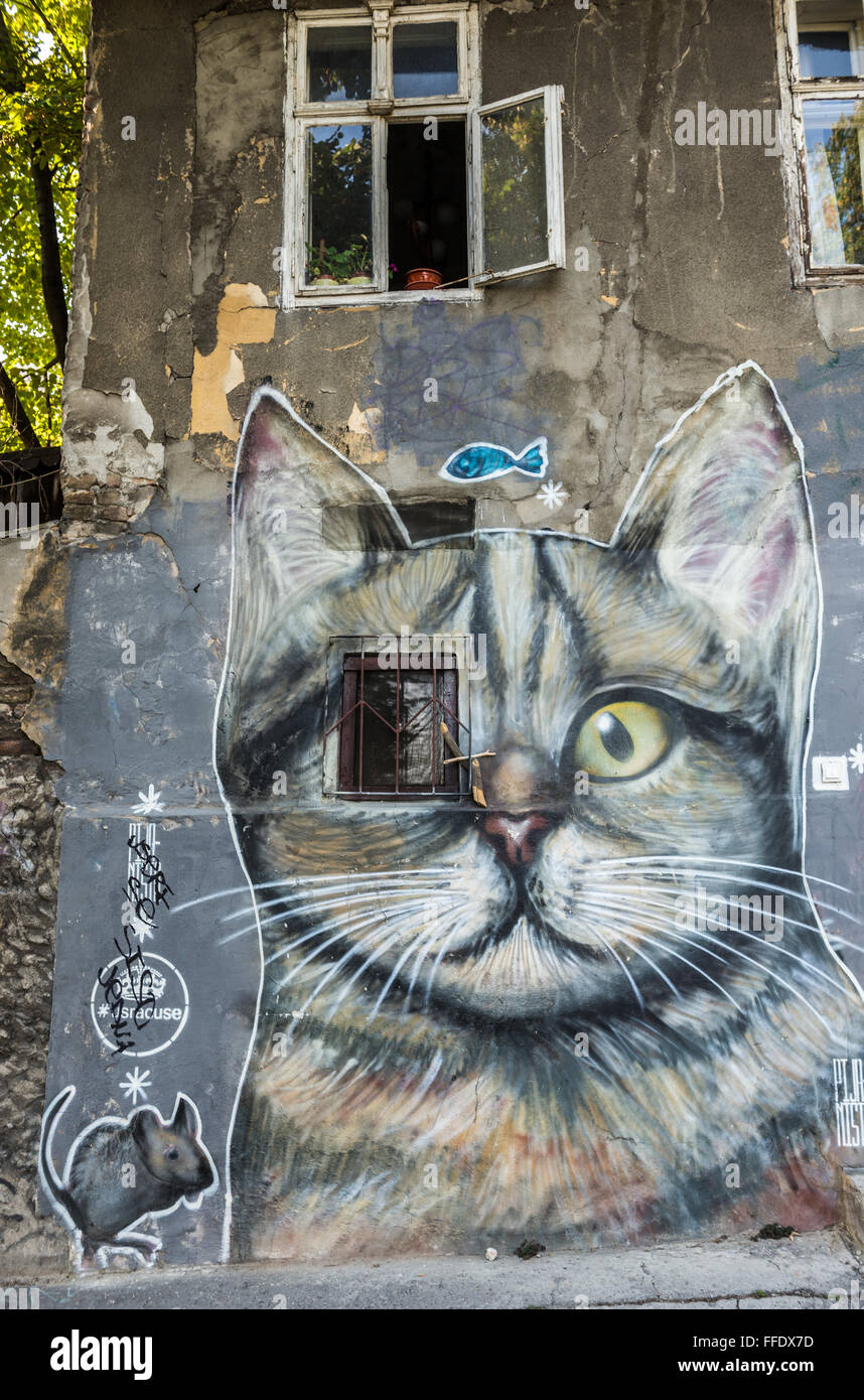 Graffiti der katze -Fotos und -Bildmaterial in hoher Auflösung – Alamy