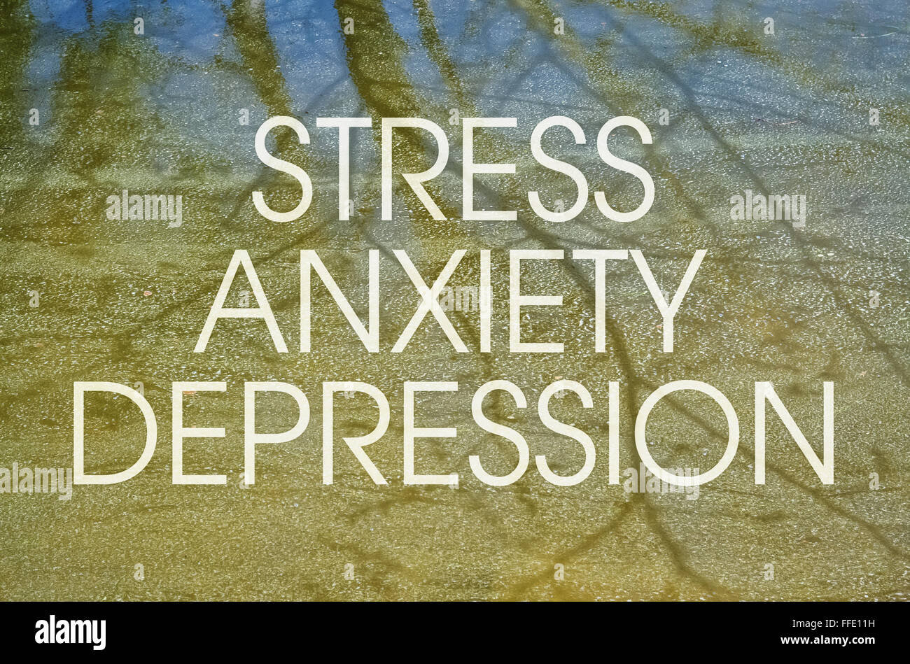 Text zum Thema Stress und Depressionen als moderne Geistesstörungen Stockfoto