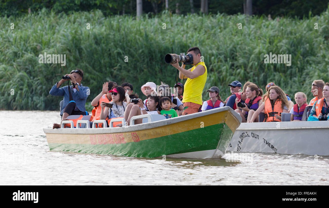 Touristen, die Wildbeobachtung von Booten auf dem Kinabatangan Fluss, Sabah, Malaysia Stockfoto
