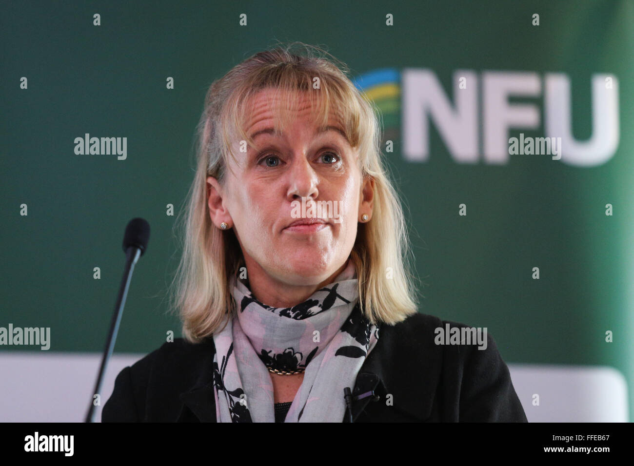 Minette Teige, stellvertretender Präsident National Farmers Union, spricht auf der nördlichen Rindfleisch & Schafe Konferenz 2016. Stockfoto