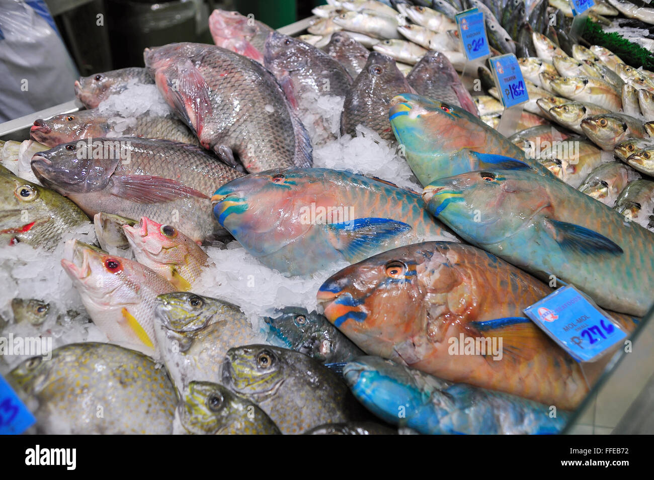 Frischer Fisch zum Verkauf in Metro Gaisano Supermarkt Ayala Center Cebu Philippinen Stockfoto