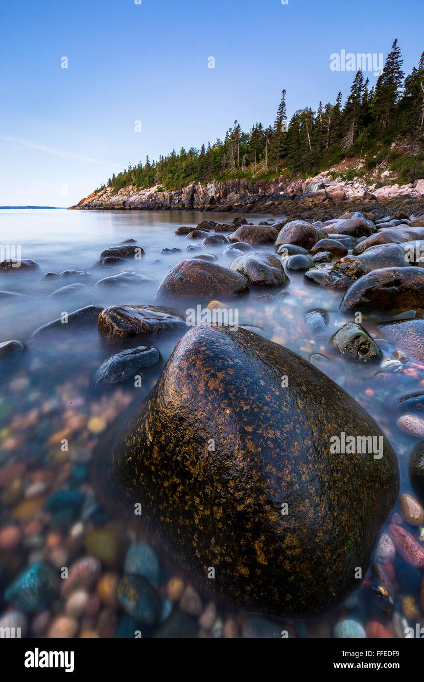 Felsen bei Ebbe an Jäger Strandbucht in Acadia Nationalpark, Mount Desert Island, Maine. Stockfoto