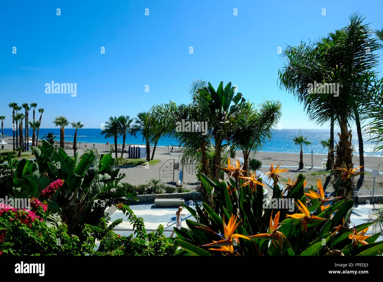 Esplanade, paseo Marítimo, Strandpromenade mit Palmen, Gärten und Blumen. Almuñécar, Provinz Granada, Costa Tropical, Andalusien. Spanien Stockfoto