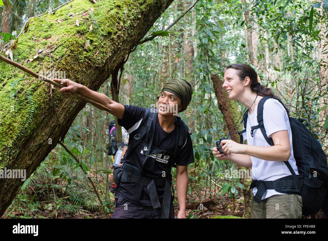 Lokale Führer und weibliche Wanderer im Regenwald in Maliau Basin, Sabah, Malaysia Stockfoto