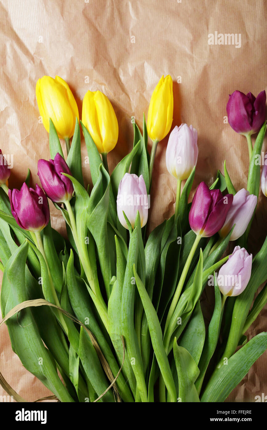 Frühling Tulpen Handwerk Papier Draufsicht Stockfoto