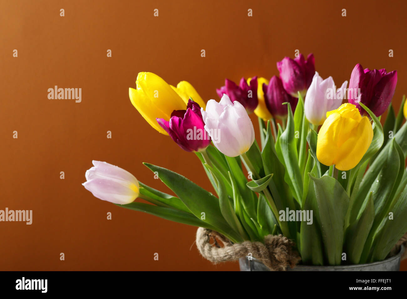 Tulpen Bukett, frische Blumen Stockfoto