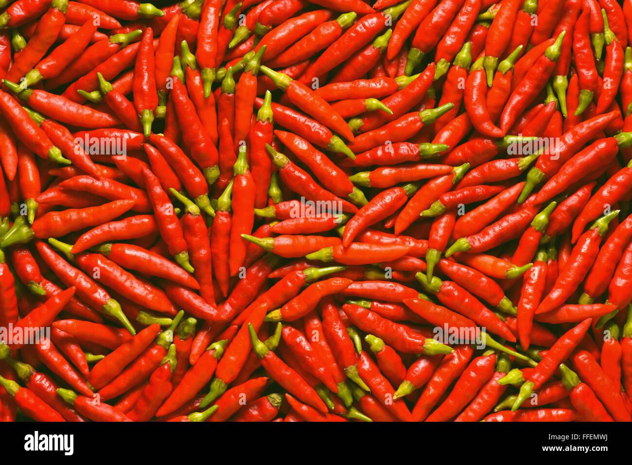 Bild für den Einsatz als Hintergrund voller roter Paprika. Stockfoto