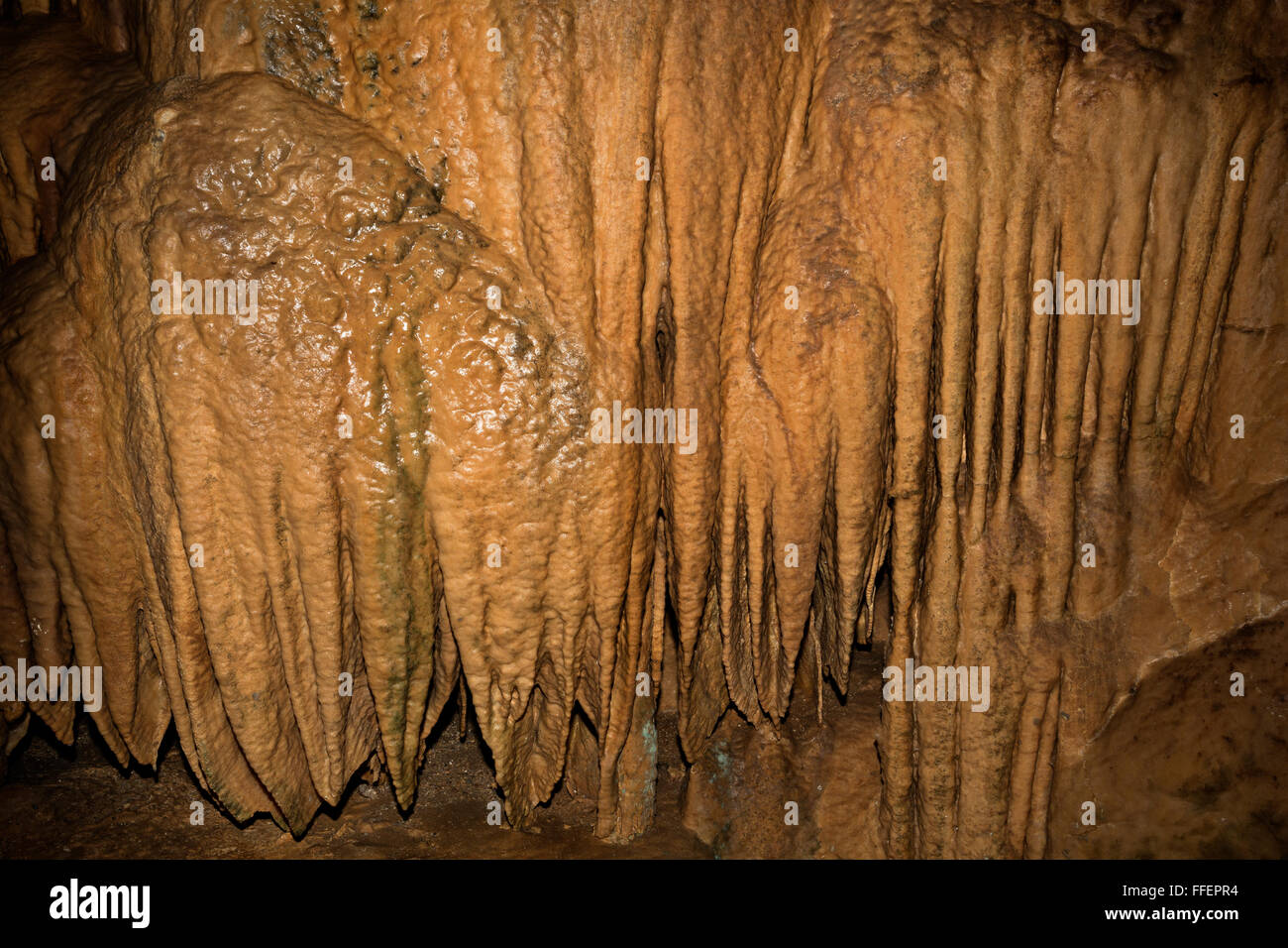 CA02848-00... Kalifornien - Kalkstein Schmelzstein und kannelierte Säulen in den Lake Shasta Caverns, ein National Natural Landmark. Stockfoto