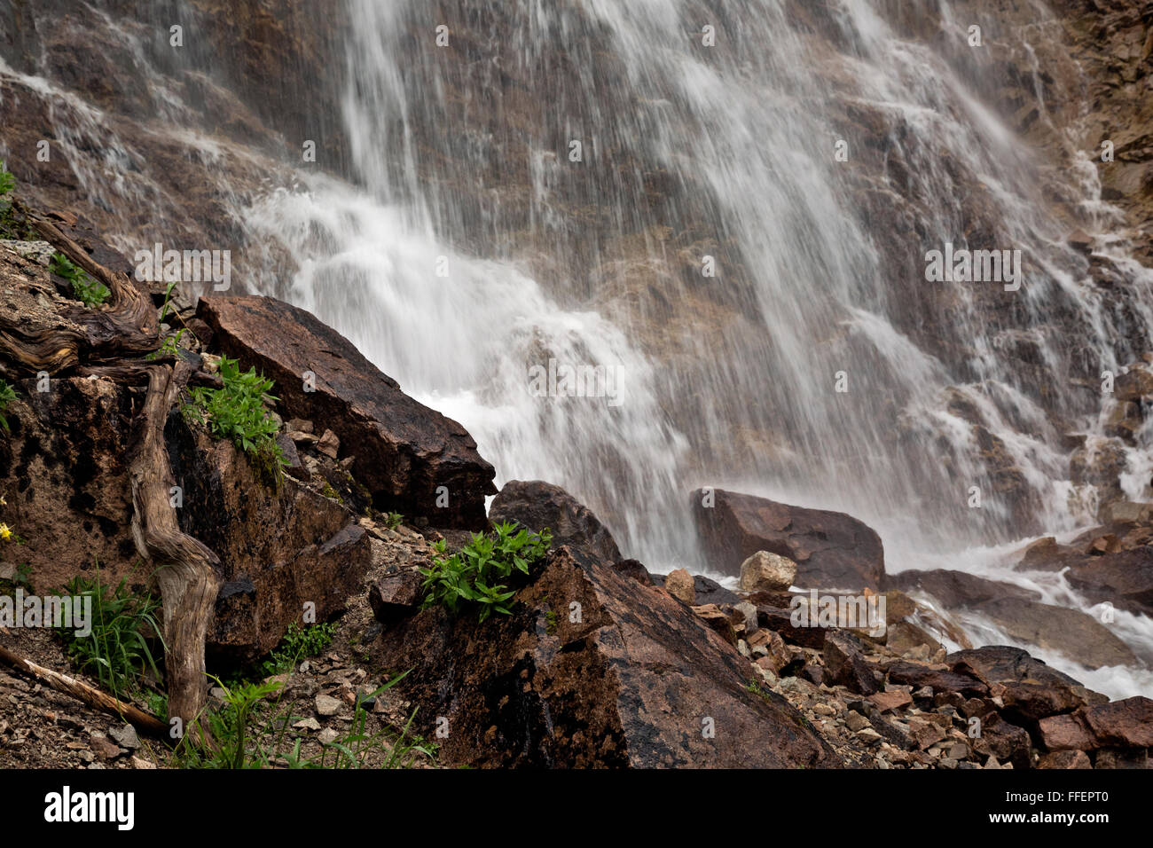 ID00247-00... IDAHO - die Basis der Bridal Veil Falls im Abschnitt Sägezahn Wildnis Sawtooth National Recreation Area. Stockfoto