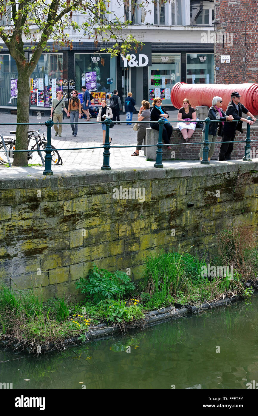 Schwimmende künstliche Nester Plattform im Kanal für Wasservögel in der Stadt Gent, Ost-Flandern, Belgien Stockfoto