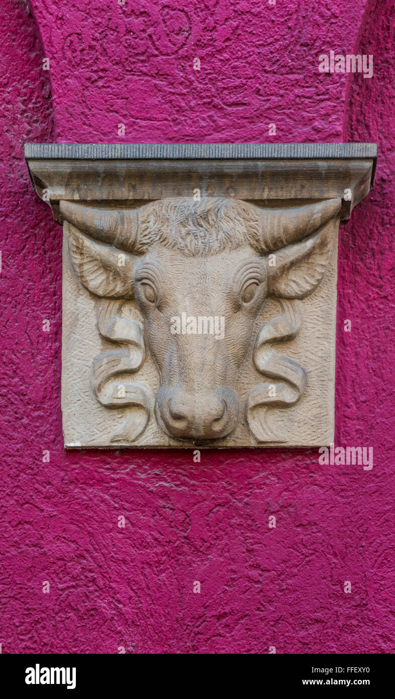 Steinskulptur von einer Kuhkopf auf lila Wand Stockfoto
