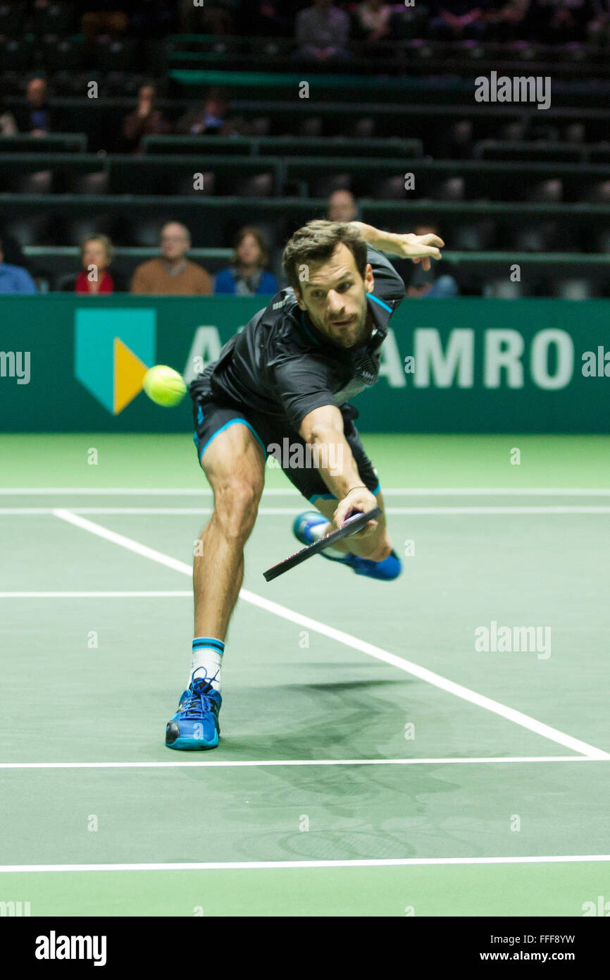 Rotterdam, die Niederlande, 12. Februar 2016, ABNAMROWTT, Philipp Petzschner (GER) Foto: Tennisimages / Credit: Henk Koster/Alamy Live-Nachrichten Stockfoto