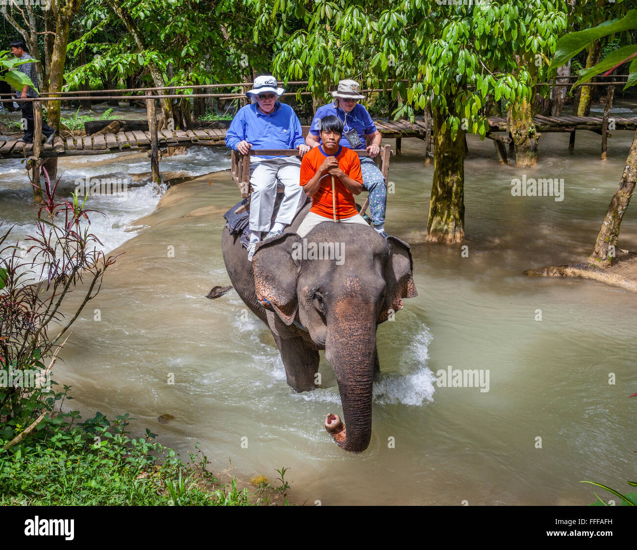 Laos, Luang Prabang Provinz, touristische Fahrten auf einem Lao Elepant von das Elephant Village Sanctuary an Tat Sae Wasserfällen Stockfoto