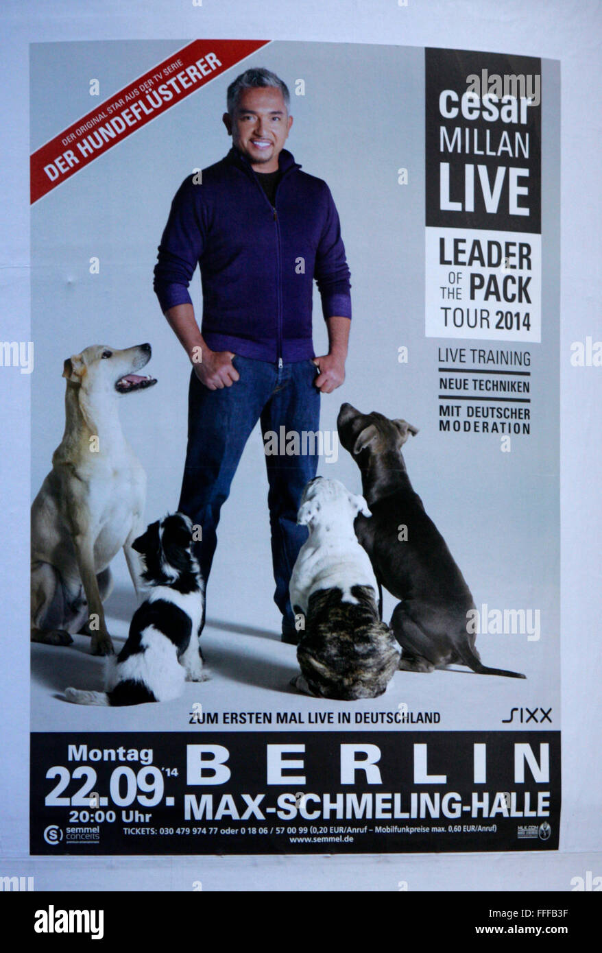 Plakat: Ankuendigung Eines Auftritts von "Cesar Millan", Berlin. Stockfoto
