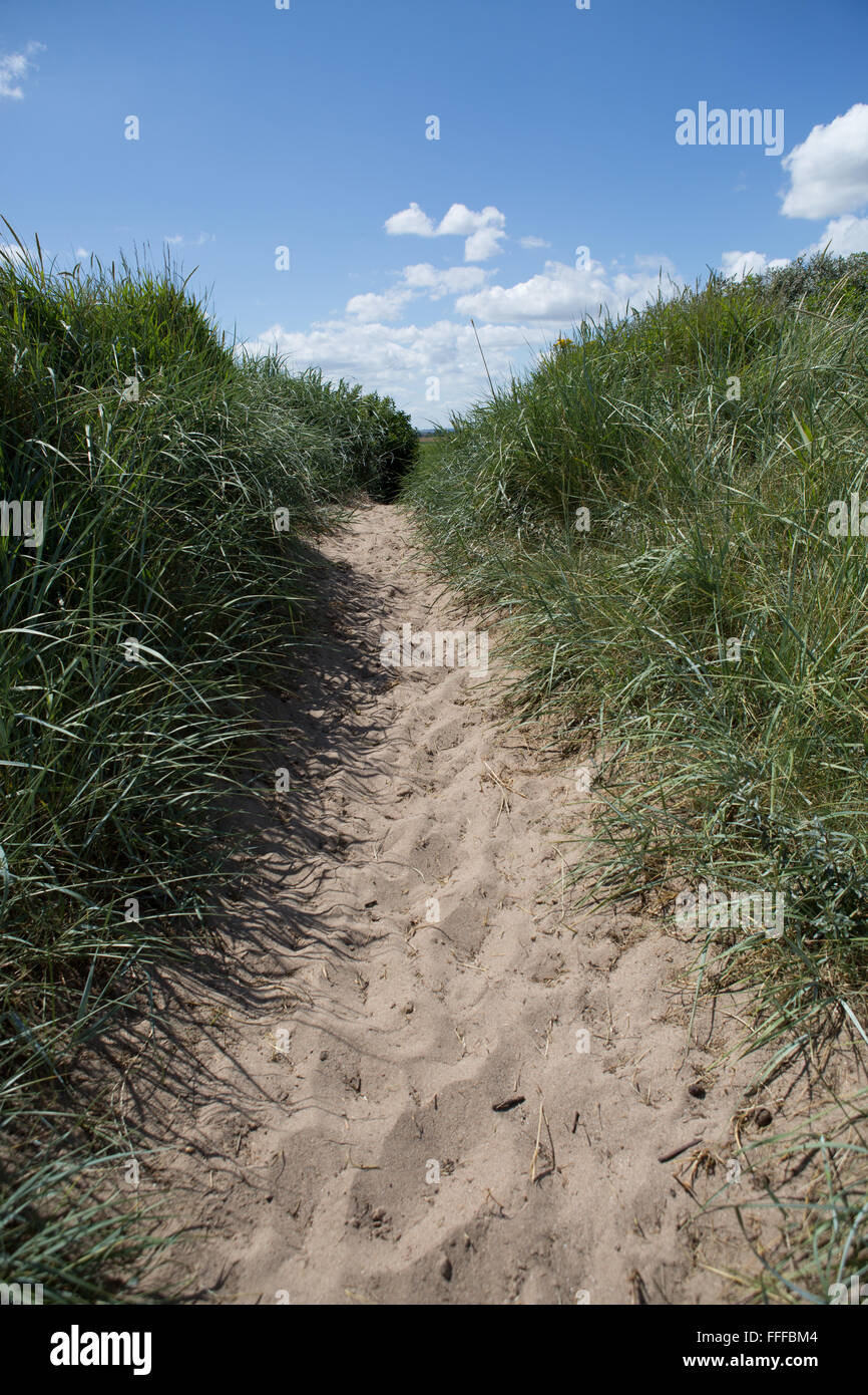 Fuß bis Trail eine Sanddüne an Mablethorpe Strand, Lincolnshire, England, Großbritannien Stockfoto