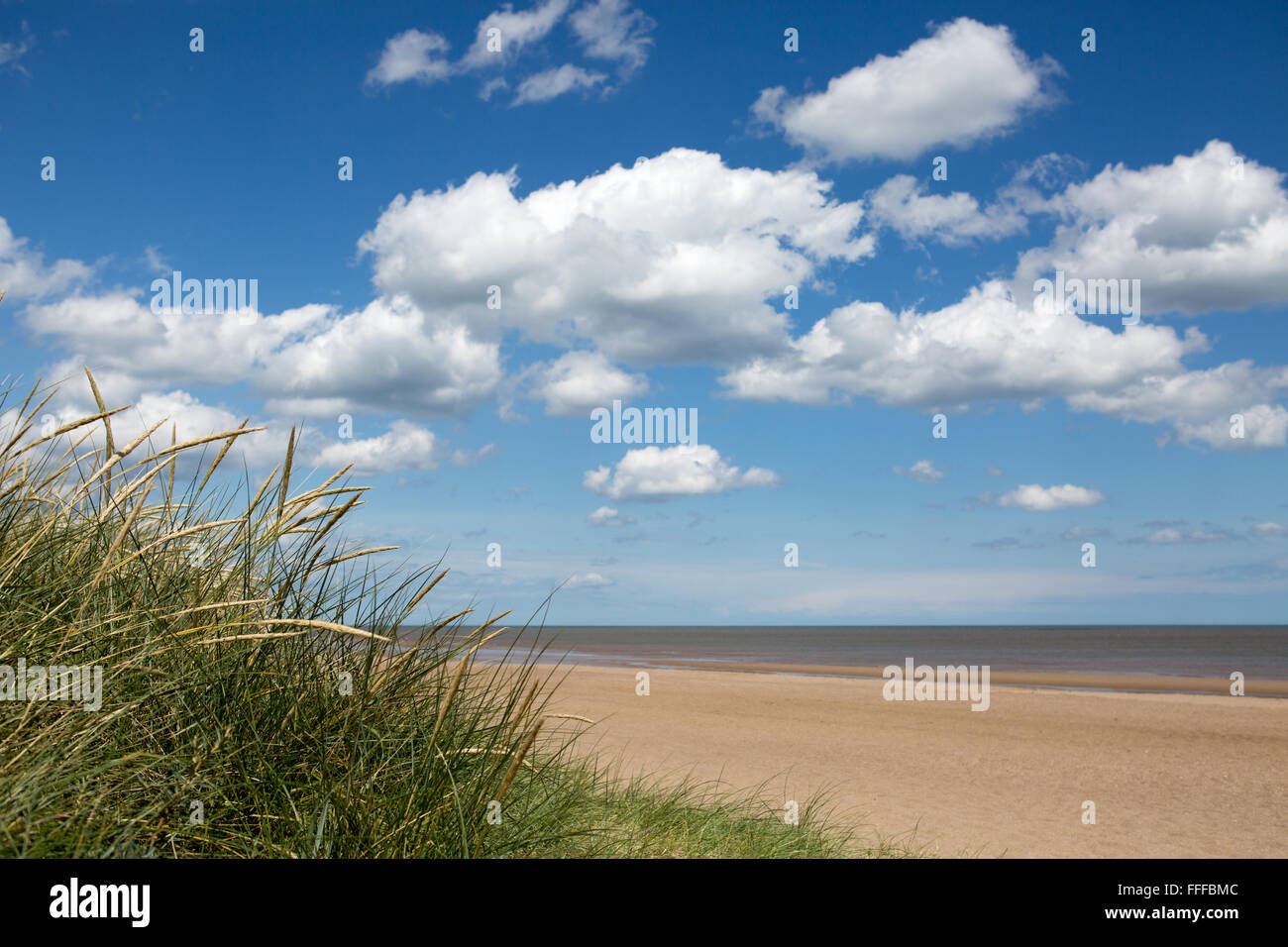 Blick auf Gras der Dünen und Sandstrand an einem sonnigen Sommertag mit blauem Himmel und weißen Wolken, Mablethorpe Strand, Lincolnshire, England, Großbritannien Stockfoto