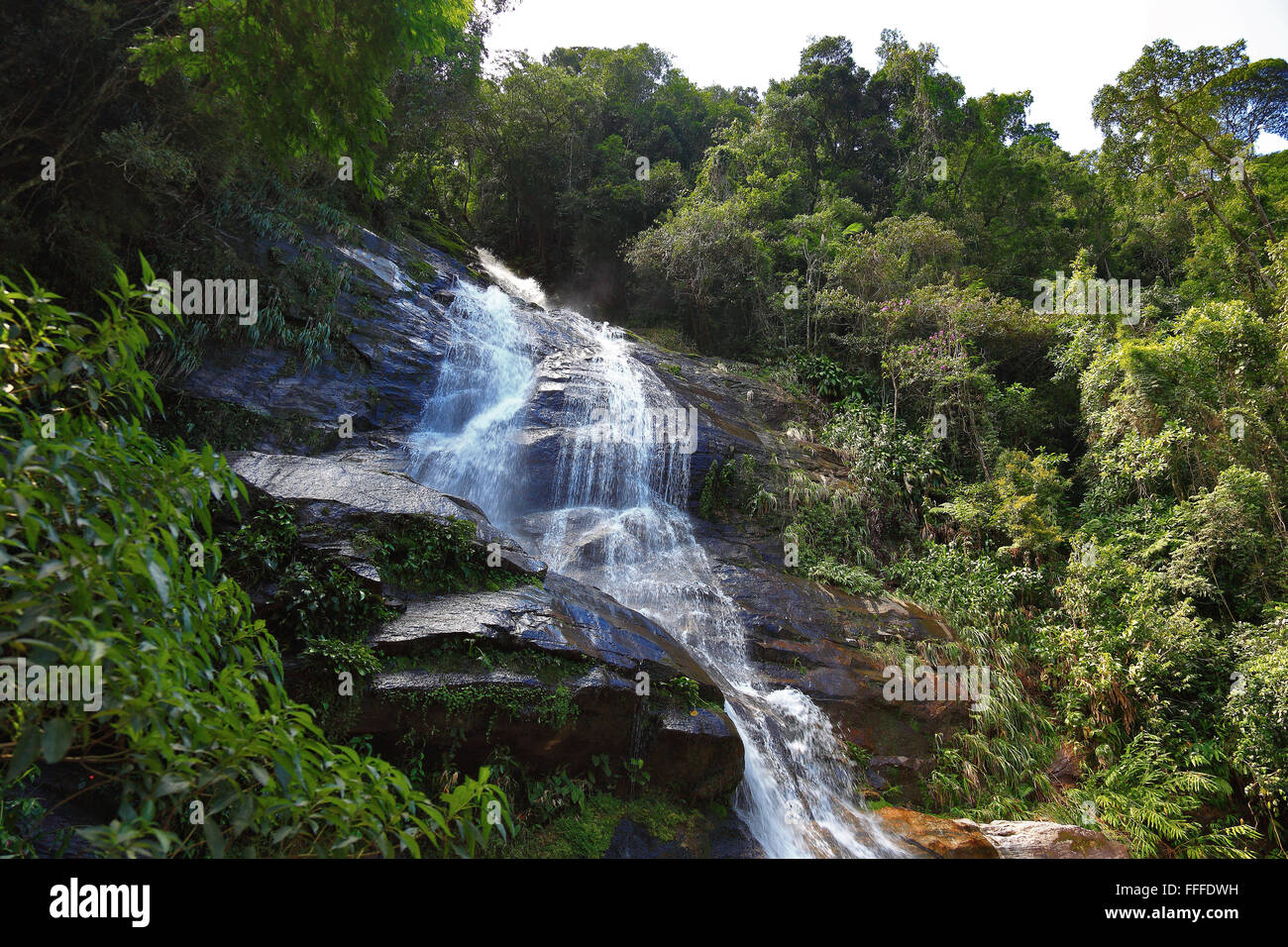 Wasserfall im Tijuca Wald, Floresta da Tijuca, Rio De Janeiro, Brasilien Stockfoto